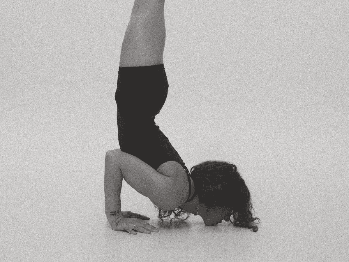 Dina Kulish